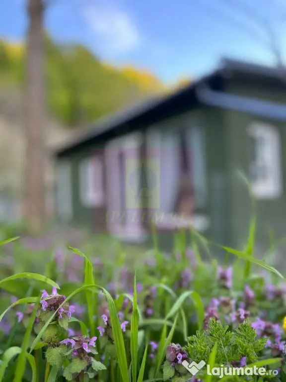 Refugiu in mijlocul naturii