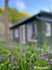 Refugiu in mijlocul naturii