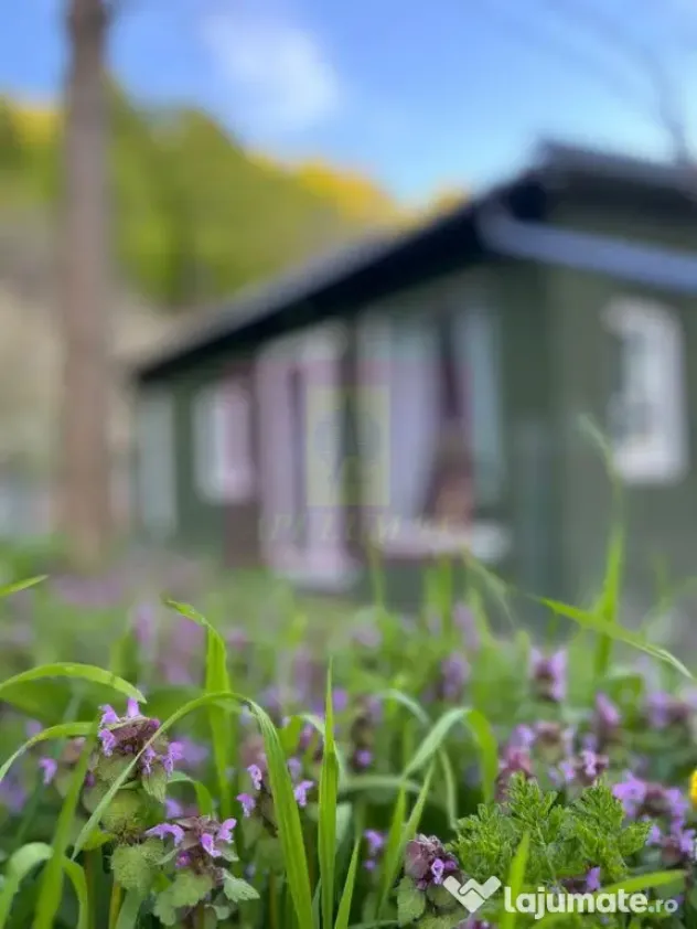Refugiu in mijlocul naturii