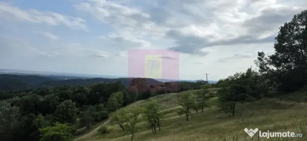 Refugiu in mijlocul naturii