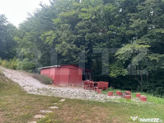 Cabana din bușteni - refugiu ideal în mijlocul naturii - Alba Iulia (Alba)
