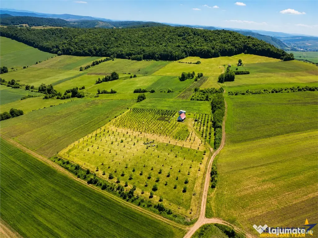 Afacere la cheie, dar si refugiu intr -o oaza de liniste in - Moisa (Mures)