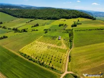 Afacere la cheie, dar si refugiu intr -o oaza de liniste in