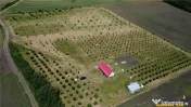 Afacere la cheie, dar si refugiu intr -o oaza de liniste in