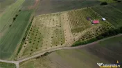 Afacere la cheie, dar si refugiu intr -o oaza de liniste in
