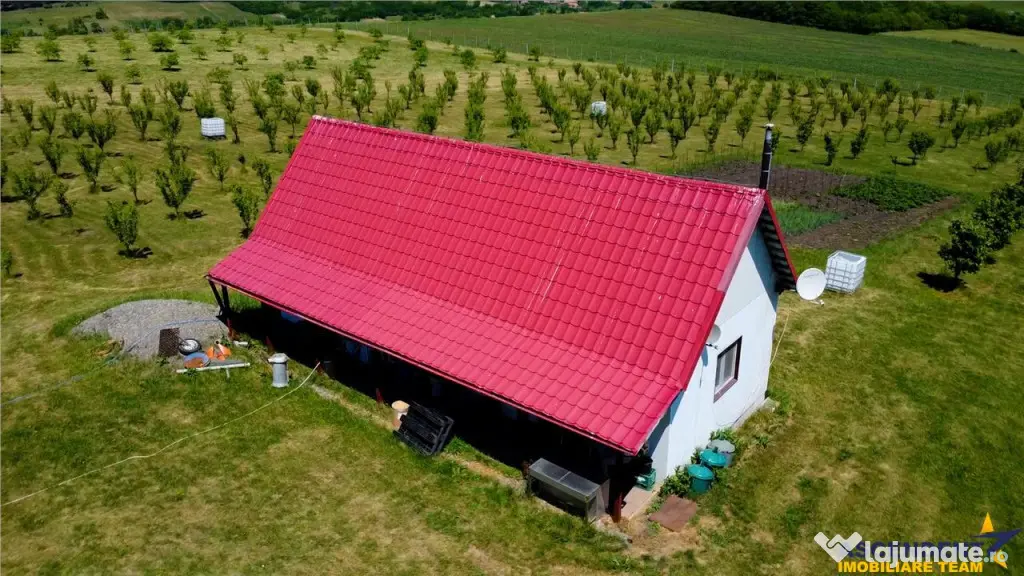 Afacere la cheie, dar si refugiu intr -o oaza de liniste in - Moisa (Mures)