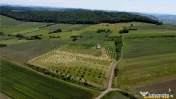 Afacere la cheie, dar si refugiu intr -o oaza de liniste in