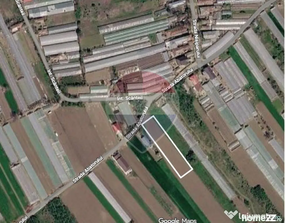 Teren intravilan | Campurelu, Giurgiu | Oportunitate de I... - Campurelu (Giurgiu)