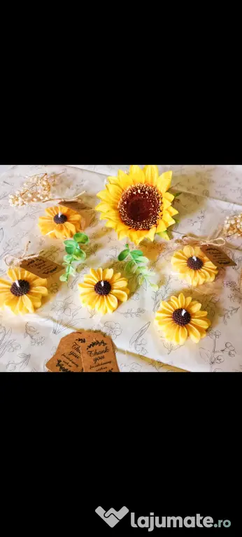 Marturii nunta și botez