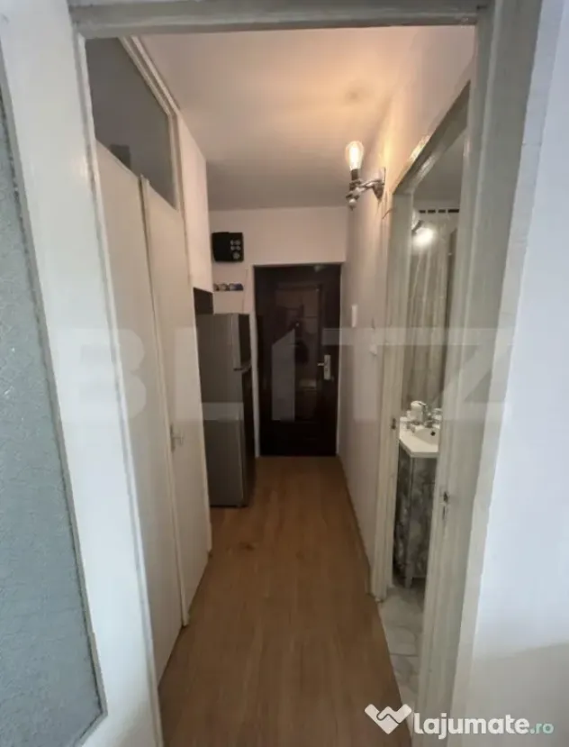Apartament cu 1 cameră de închiriat | Girocului | 250 € - Timisoara (Timis)