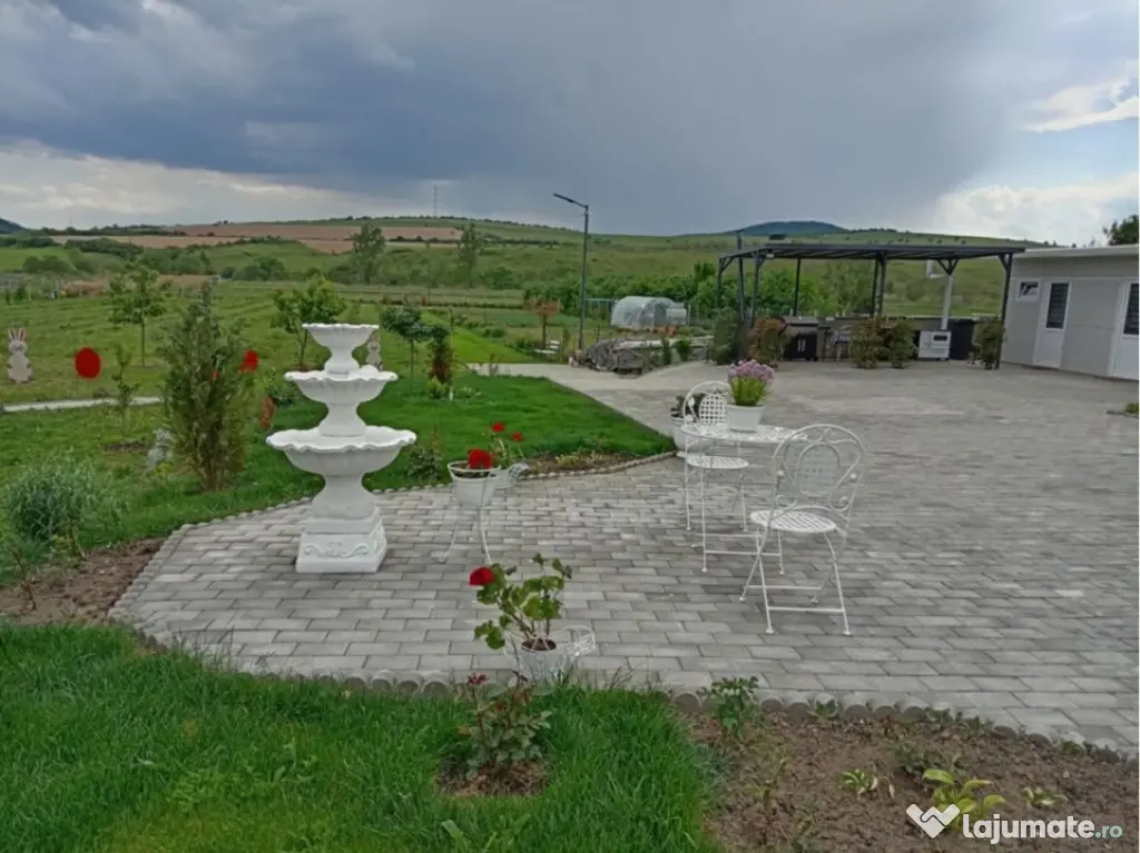 Casa 3 camere + plantație de zmeura, 200 mp, Fodora, Cluj - Fodora (Cluj)
