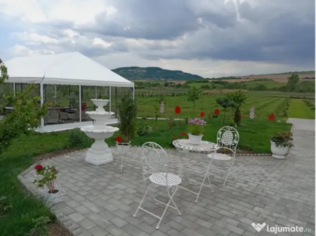 Casa 3 camere + plantație de zmeura, 200 mp, Fodora, Cluj - Fodora (Cluj)