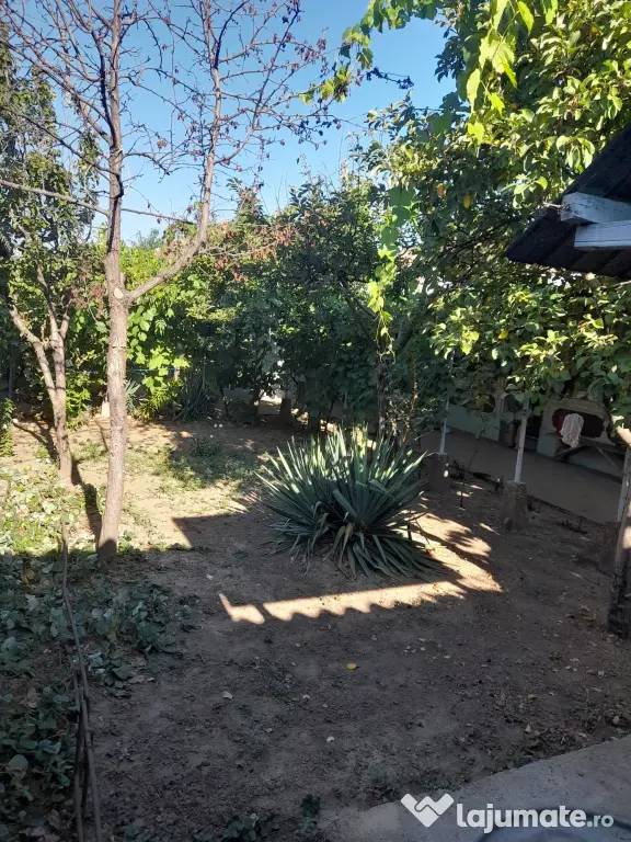 Casa de vanzare comună Tufesti jud Braila