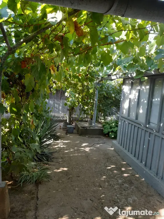 Casa de vanzare comună Tufesti jud Braila