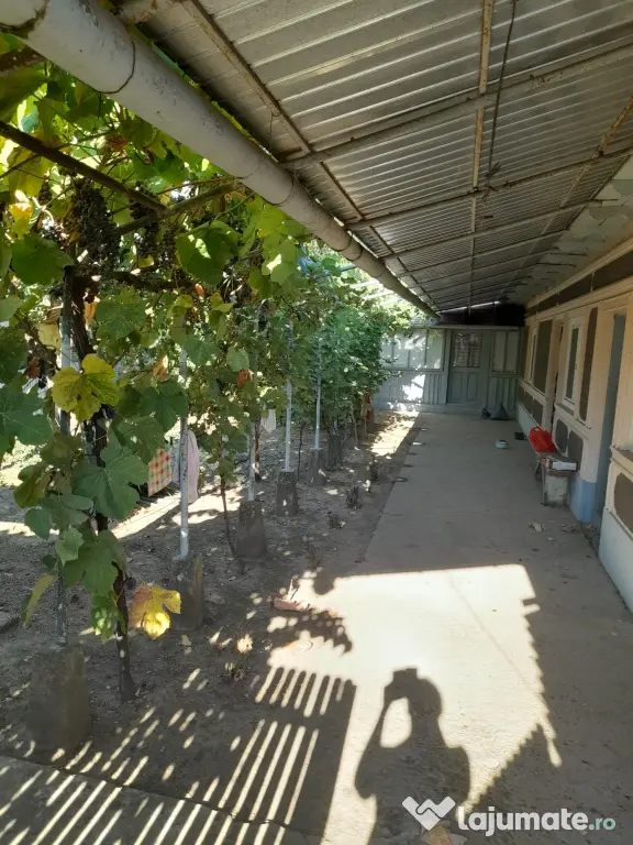 Casa de vanzare comună Tufesti jud Braila