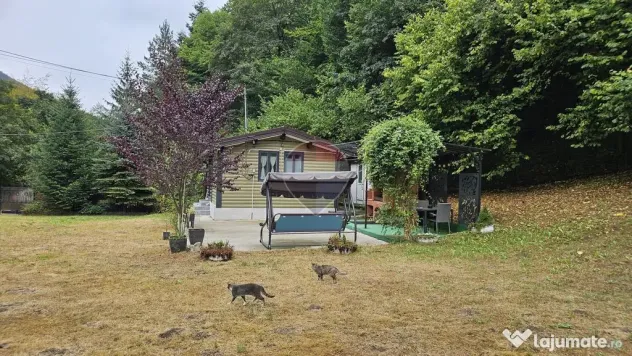 Căsuță de vacanță de vânzare – comuna Alexandru c... - Alexandru cel Bun (Neamt)