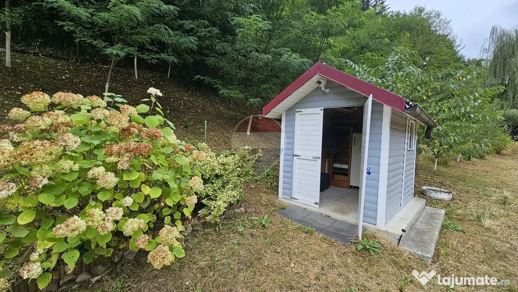 Căsuță de vacanță de vânzare – comuna Alexandru c... - Alexandru cel Bun (Neamt)