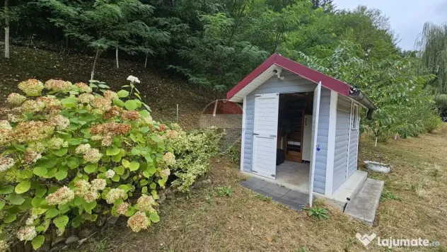 Căsuță de vacanță de vânzare – comuna Alexandru c... - Alexandru cel Bun (Neamt)