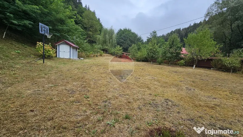 Căsuță de vacanță de vânzare – comuna Alexandru c... - Alexandru cel Bun (Neamt)