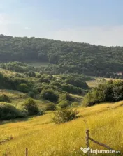 Teren 4000mp, Valea Sanaslaului 