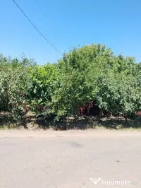 vind casa locuibilă 