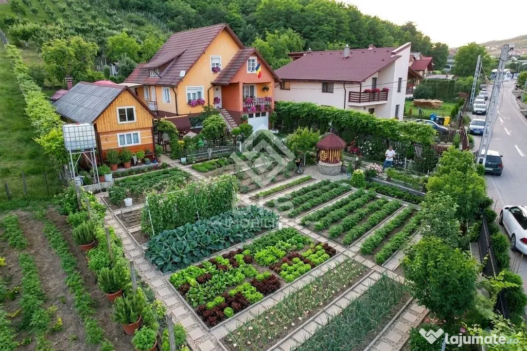 O gospodărie completă, pregătită cu dragoste și munc... - Bistrita (Bistrita-Nasaud)
