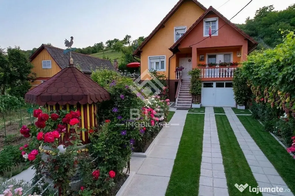 O gospodărie completă, pregătită cu dragoste și munc... - Bistrita (Bistrita-Nasaud)