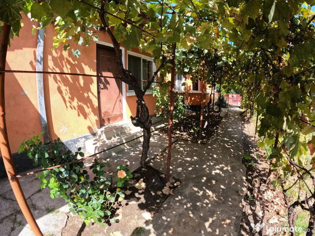 Casă de vânzare în Slobozia, Giurgiu | 1.143 mp teren 5 - Slobozia (Giurgiu)
