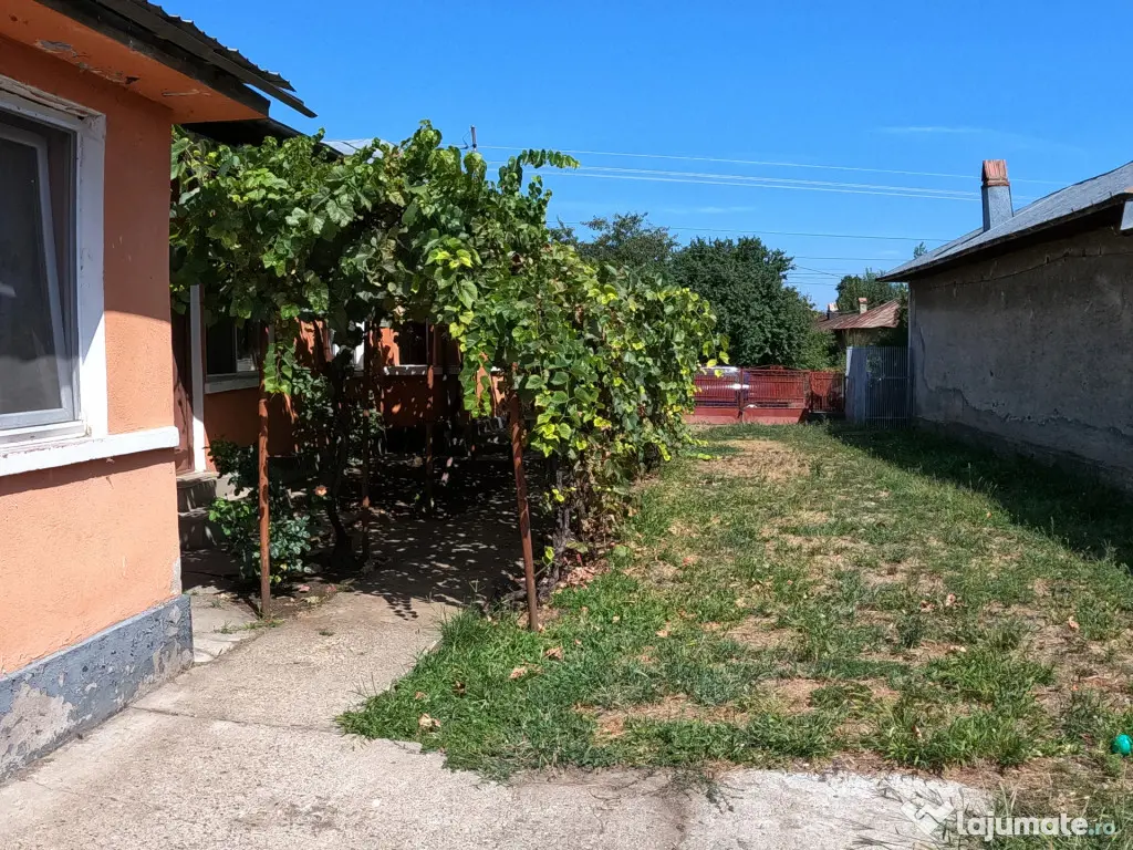 Casă de vânzare în Slobozia, Giurgiu | 1.143 mp teren 5 - Slobozia (Giurgiu)