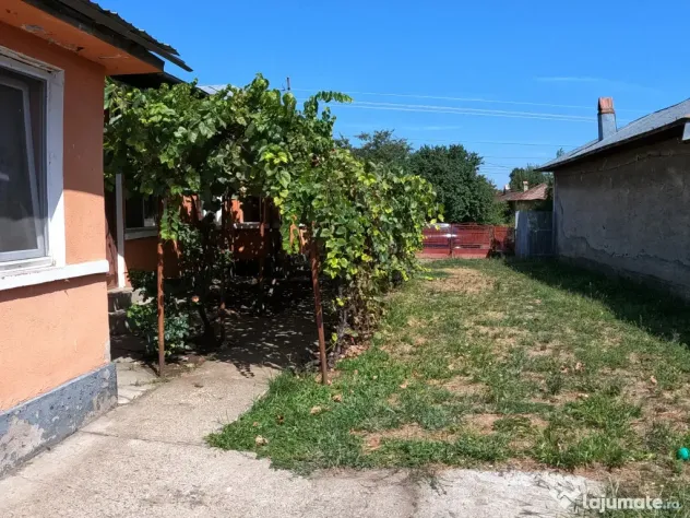 Casă de vânzare în Slobozia, Giurgiu | 1.143 mp teren 5 - Slobozia (Giurgiu)