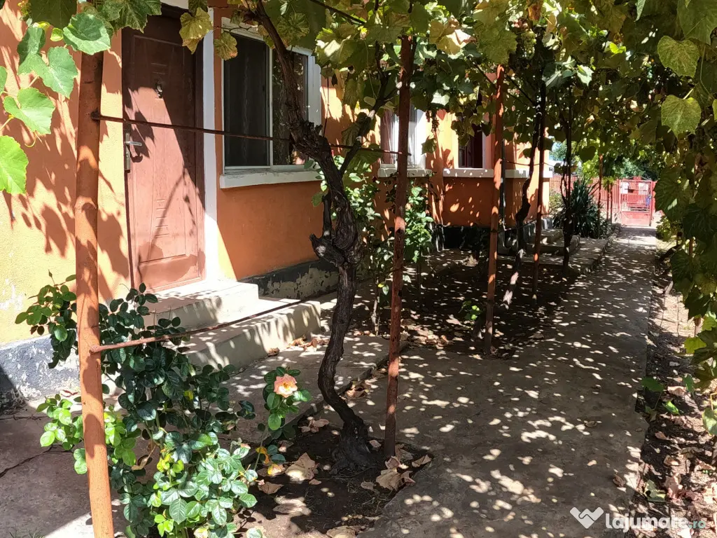 Casă de vânzare în Slobozia, Giurgiu | 1.143 mp teren 5 - Slobozia (Giurgiu)