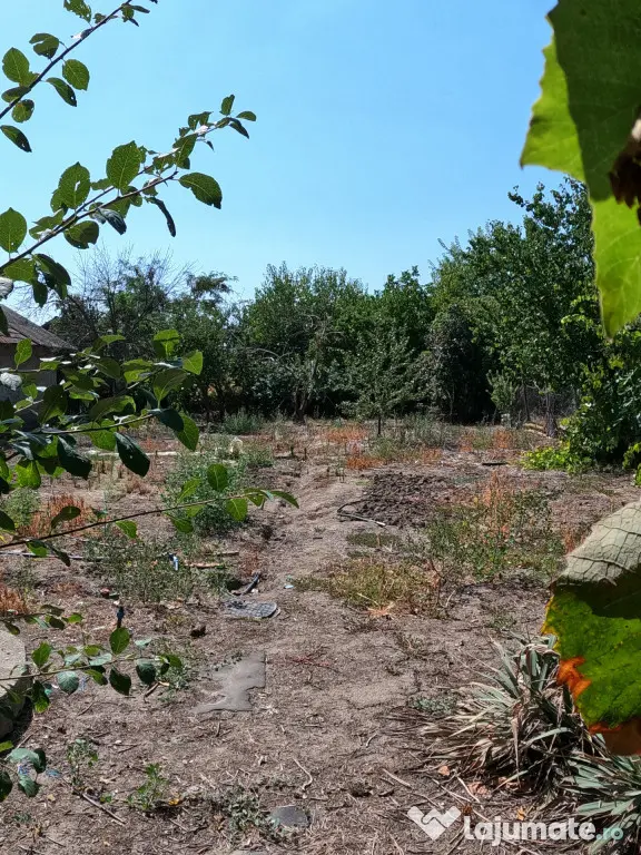 Casă de vânzare în Slobozia, Giurgiu | 1.143 mp teren 5 - Slobozia (Giurgiu)
