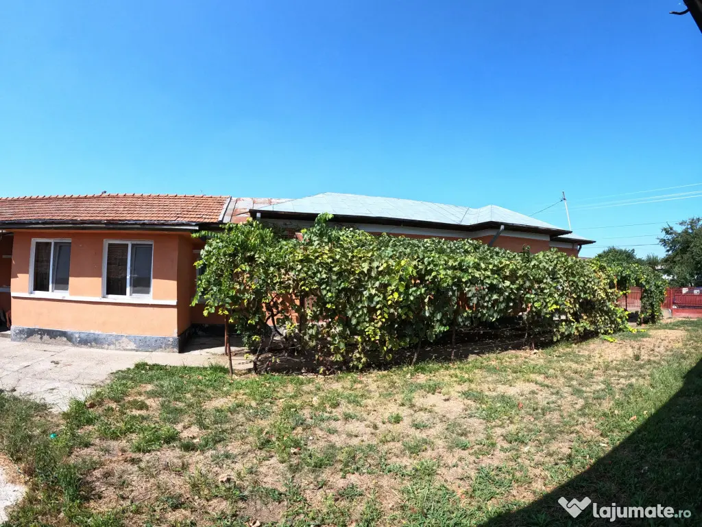 Casă de vânzare în Slobozia, Giurgiu | 1.143 mp teren 5 - Slobozia (Giurgiu)