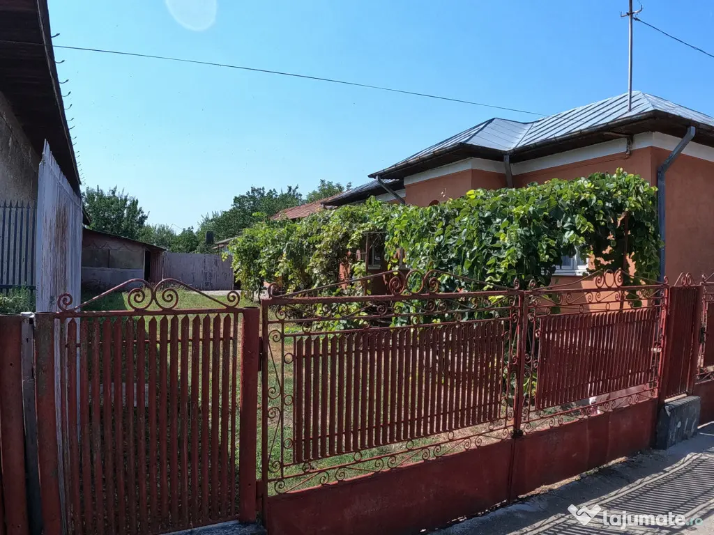 Casă de vânzare în Slobozia, Giurgiu | 1.143 mp teren 5 - Slobozia (Giurgiu)