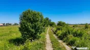 Teren Bragadiru langa A0 - PUZ aprobat, vizibilitate autostr 