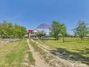 Casă individuală P+M | 8 camere | Teren 2.220 mp | Dâr... 
