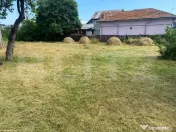 Casa batraneasca cu teren generos de vanzare aproximativ 20e 