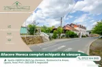 Spațiu HORECA 865 mp, Pensiune, Restaurant & Anexe, Lipova,