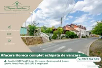 Spațiu HORECA 865 mp, Pensiune, Restaurant & Anexe, Lipova,