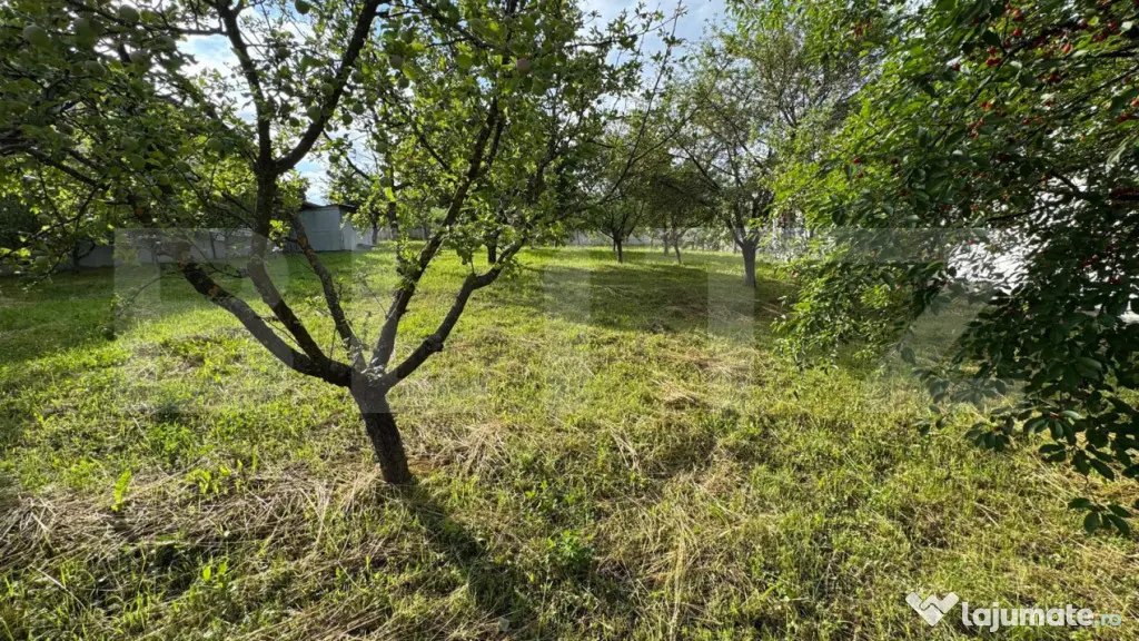 TEREN INTRAVILAN, ZONA DEOSEBITA - Bistrita (Bistrita-Nasaud)
