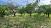 TEREN INTRAVILAN, ZONA DEOSEBITA 
