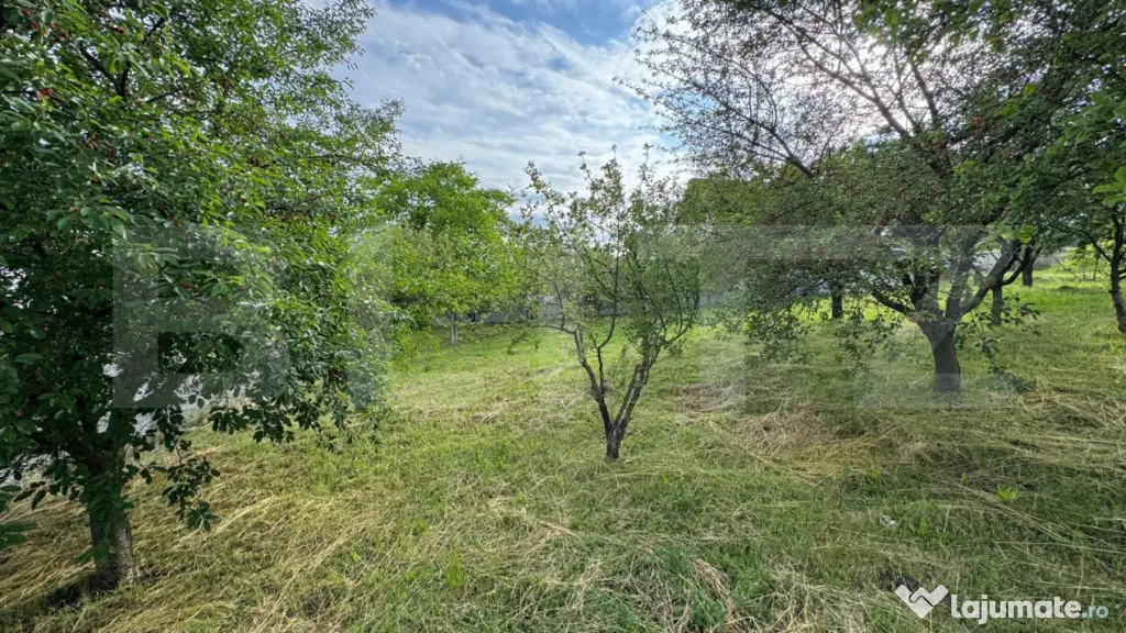 TEREN INTRAVILAN, ZONA DEOSEBITA - Bistrita (Bistrita-Nasaud)