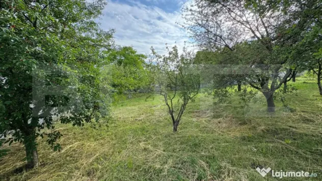 TEREN INTRAVILAN, ZONA DEOSEBITA - Bistrita (Bistrita-Nasaud)
