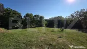 Un colț de natură în Oarda | Casă cu peste 8.000 mp tere 