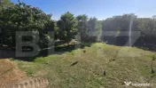 Un colț de natură în Oarda | Casă cu peste 8.000 mp tere 