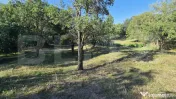 Un colț de natură în Oarda | Casă cu peste 8.000 mp tere 