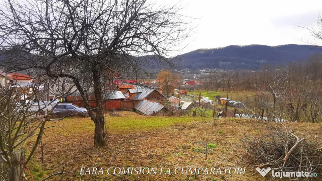 VLADESTI - LOT TEREN BINE AMPLASAT - Vladesti (Valcea)