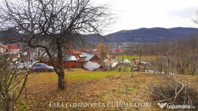 VLADESTI - LOT TEREN BINE AMPLASAT - Vladesti (Valcea)