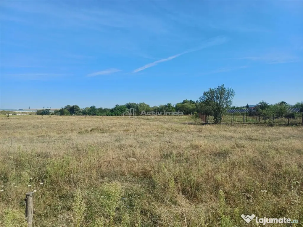 Teren intravilan de 9000 mp zona intre iazuri Talmaciu - Talmaciu (Sibiu)