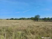 Teren intravilan de 9000 mp zona intre iazuri Talmaciu 